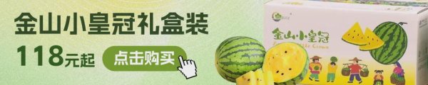 闪牛 上海乐高乐园5月31日起分阶段开启内测和试运营