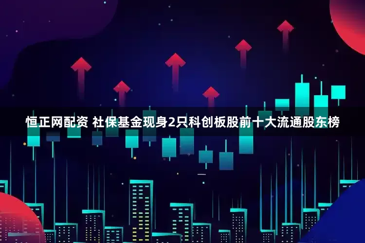恒正网配资 社保基金现身2只科创板股前十大流通股东榜