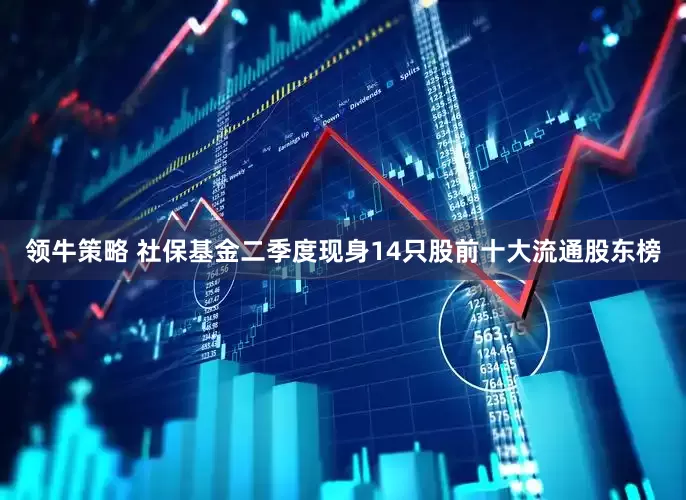 领牛策略 社保基金二季度现身14只股前十大流通股东榜