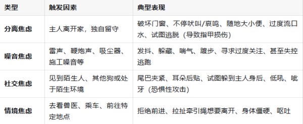 银丰配资 狗狗会患上精神焦虑症和忧郁症，请务必采取行动