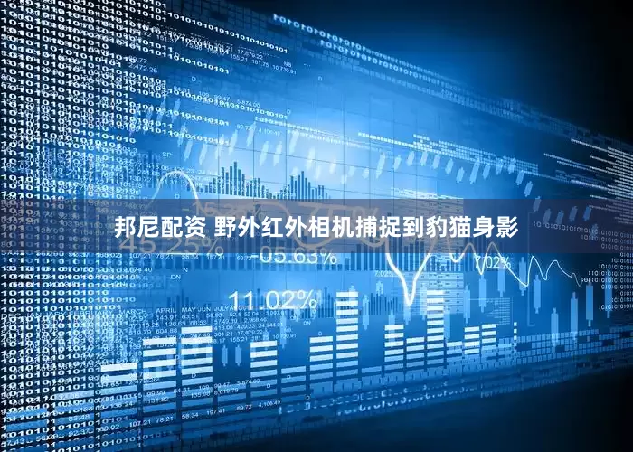 邦尼配资 野外红外相机捕捉到豹猫身影