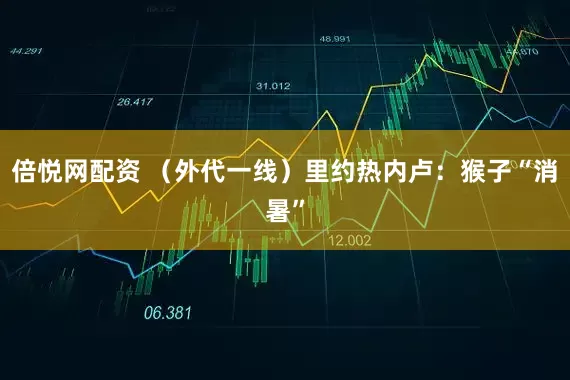 倍悦网配资 （外代一线）里约热内卢：猴子“消暑”