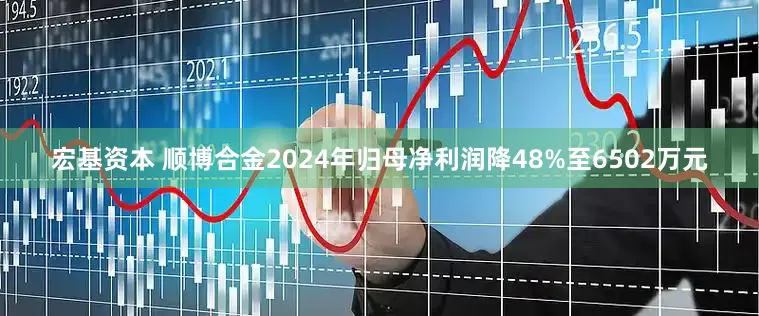 宏基资本 顺博合金2024年归母净利润降48%至6502万元