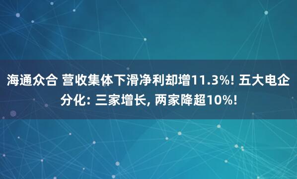 海通众合 营收集体下滑净利却增11.3%! 五大电企分化: 三家增长, 两家降超10%!